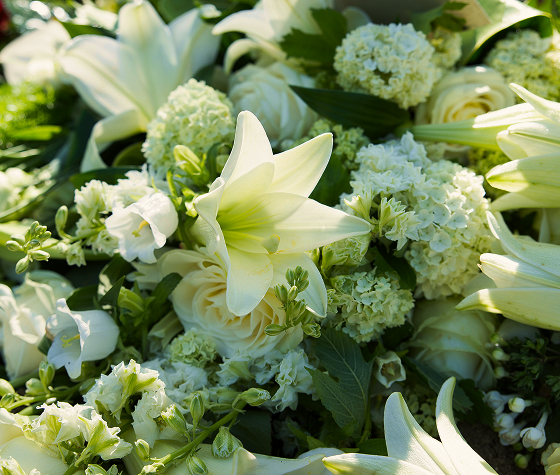 floral arrangement